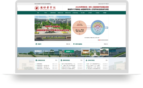 崇德醉术 多维融合 卓越麻醉医师人才培养模式的构建与实践